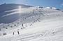 Mt Buller Snow Day Small Groups Tour