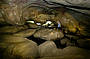 Inside Mulka's Cave