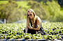 Explore the Mornington Peninsula WIne Tour
