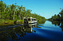 Everglades Eco Safari with lunch