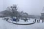 Mt Buller Snow Day Small Groups Tour