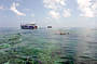 Skedaddle Half Day Outer Reef Jet Boat Tour