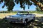 Our White 1968 Chevrolet Impala Convertible