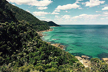 Rainforest along the Great Ocean Road