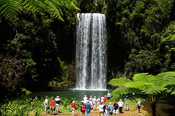 Millaa Millaa Falls